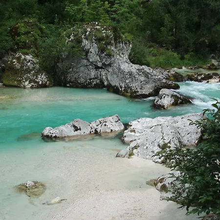 Hiša za goste Guest House Mystic River