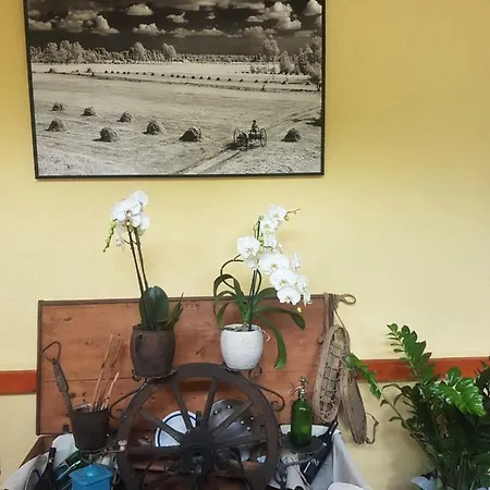 Guest House Mystic River 2* Bovec